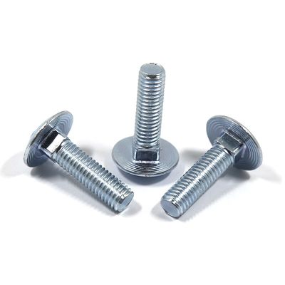 Plain Finish SS304 SS316 Galvanized Coach Bolt Nut M4 M5 M6 M8 M10 with A2-70/A4-80/304/316 Grade and High Grade Steel