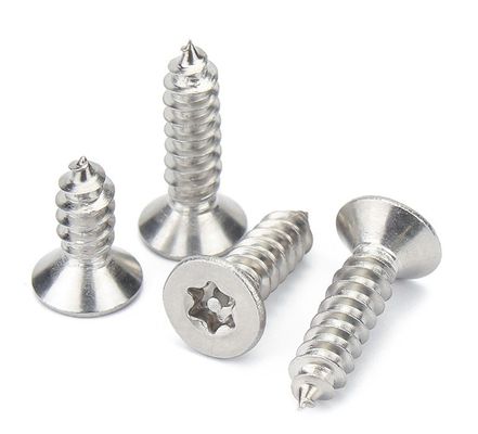 Galvanized Finish Stainless Steel Self Tapping Screw M1.2 M1.4 M1.7 M2 M2.3 M2.6 M3 M3.5 M4 M4.2 M5 M6 for Construction