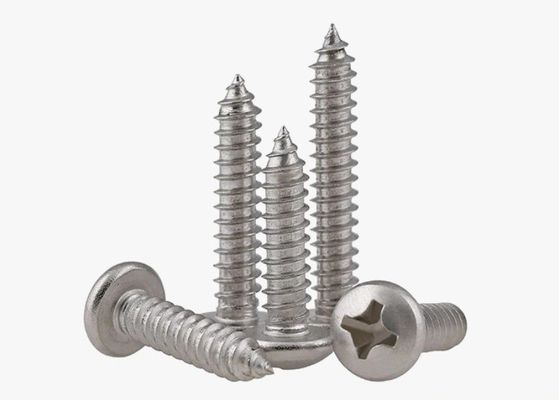 Galvanized Finish Stainless Steel Self Tapping Screw M1.2 M1.4 M1.7 M2 M2.3 M2.6 M3 M3.5 M4 M4.2 M5 M6 for Construction