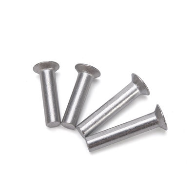 JIS Standard Aluminium Solid Rivets Stainless Steel 304 316 at Direct Supply with GB Standard and Aluminium Material