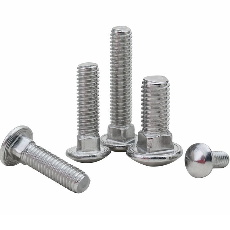 Plain Finish SS304 SS316 Galvanized Coach Bolt Nut M4 M5 M6 M8 M10 with A2-70/A4-80/304/316 Grade and High Grade Steel